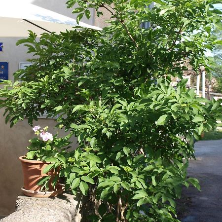 Apartment Krnica N43 Ngoại thất bức ảnh